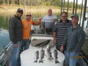 (10/24/2014) - Nice Striped Bass